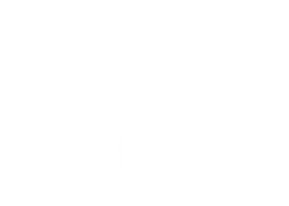 logo light